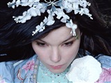 Bjork