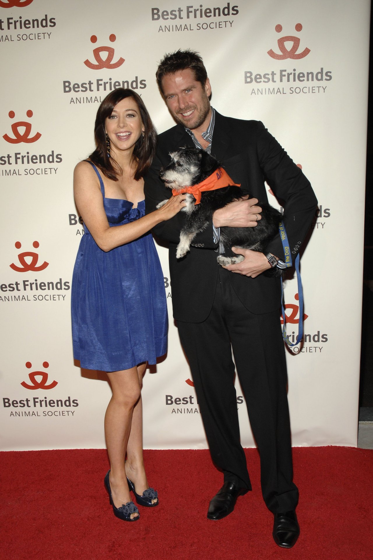 Alyson Hannigan wallpapers Alyson Hannigan