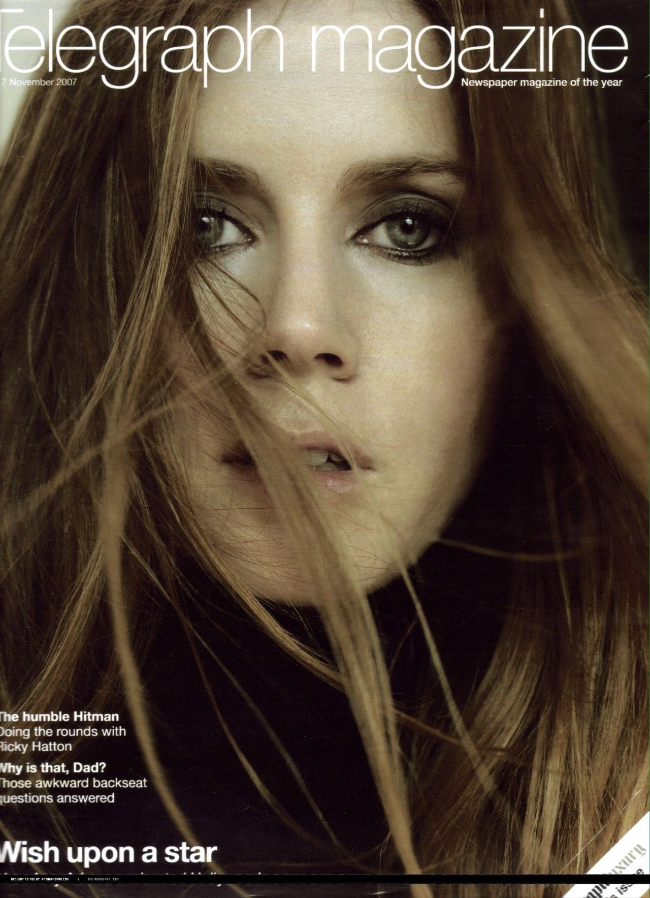 Amy Adams wallpapers Amy Adams