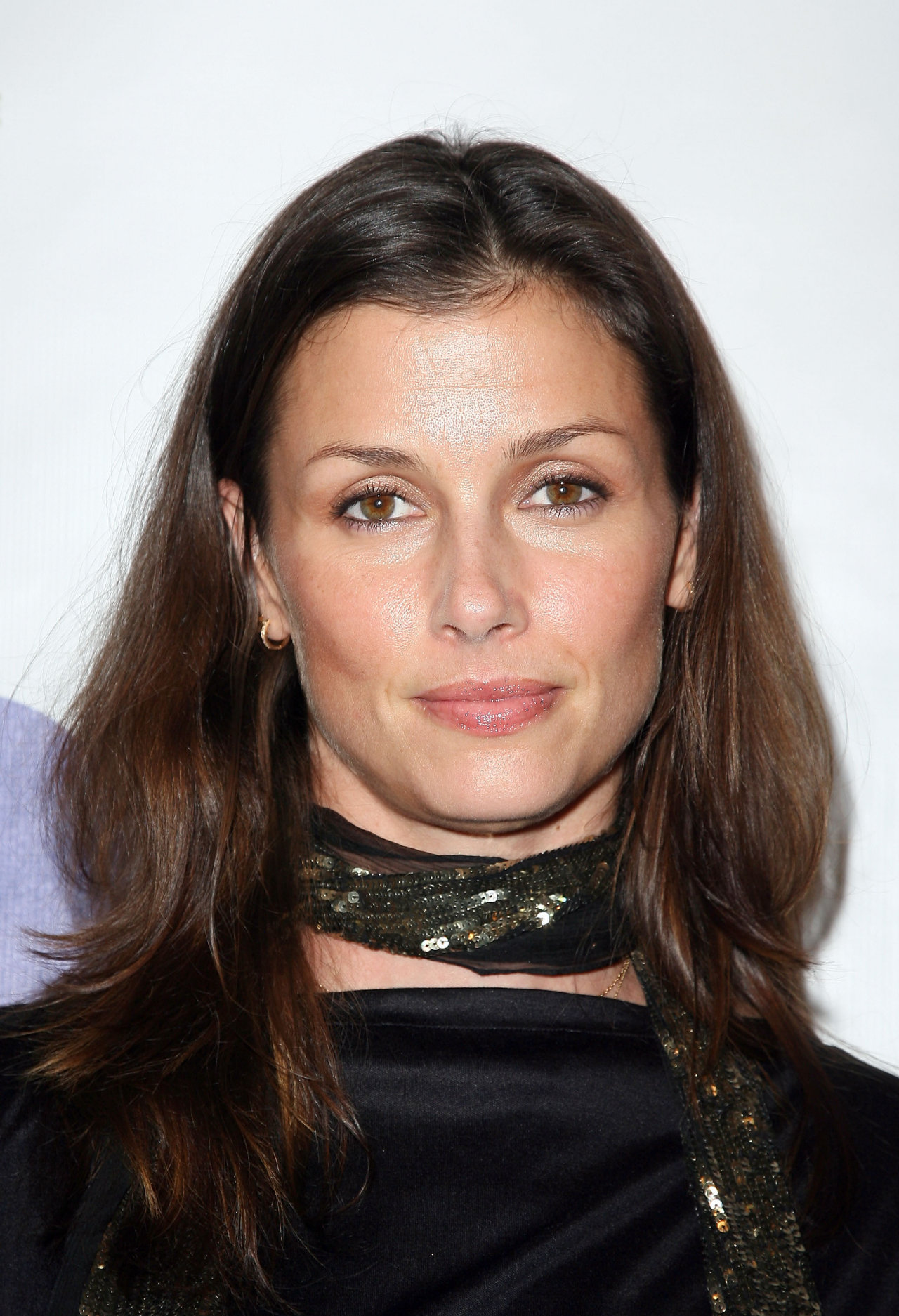 Bridget Moynahan