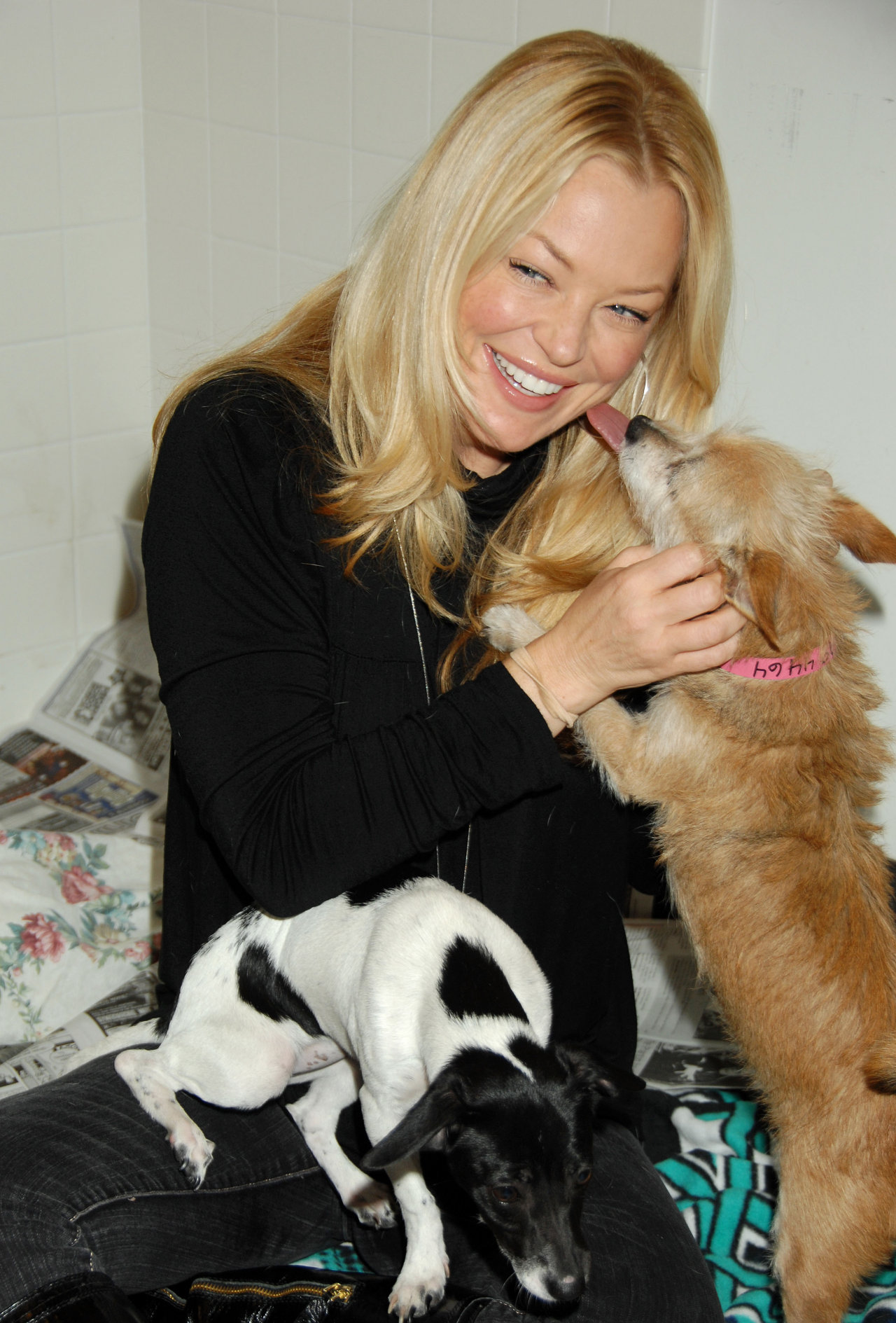 Charlotte Ross wallpapers Charlotte Ross