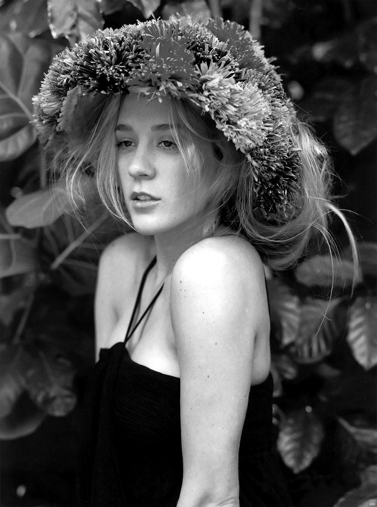 Chloe Sevigny wallpapers Chloe Sevigny