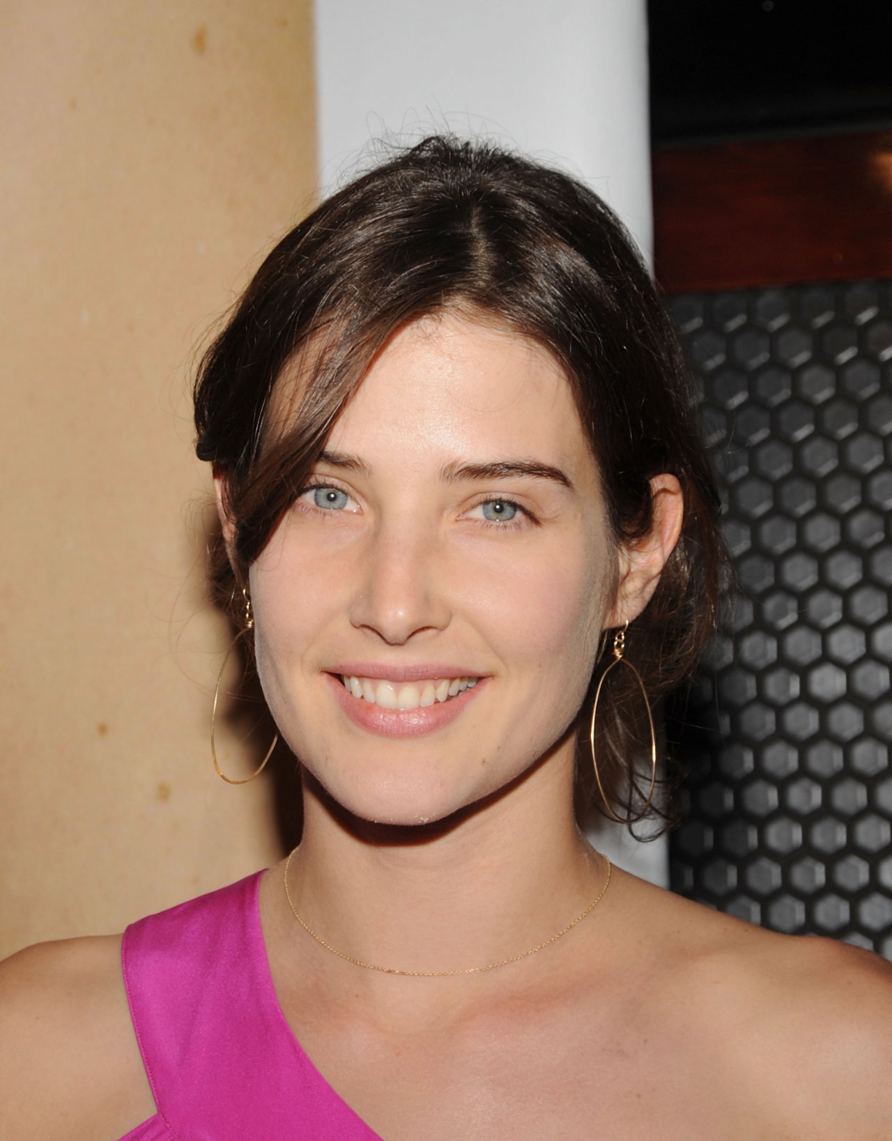 Cobie Smulders wallpapers Cobie Smulders