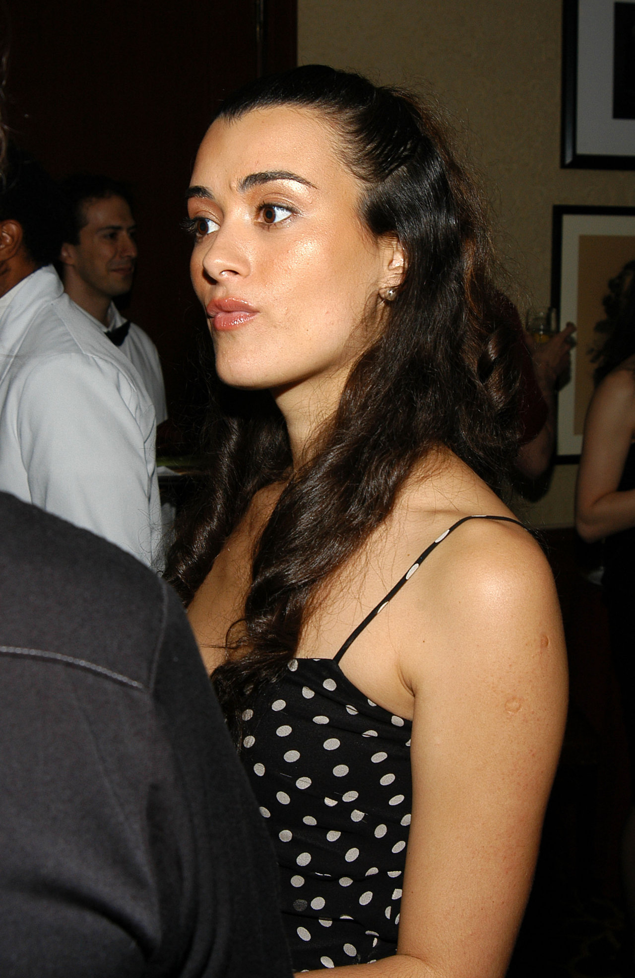 Cote De Pablo