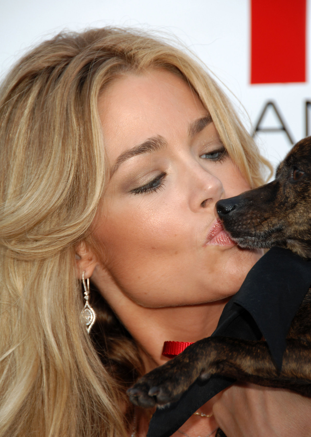 Denise Richards wallpapers Denise Richards