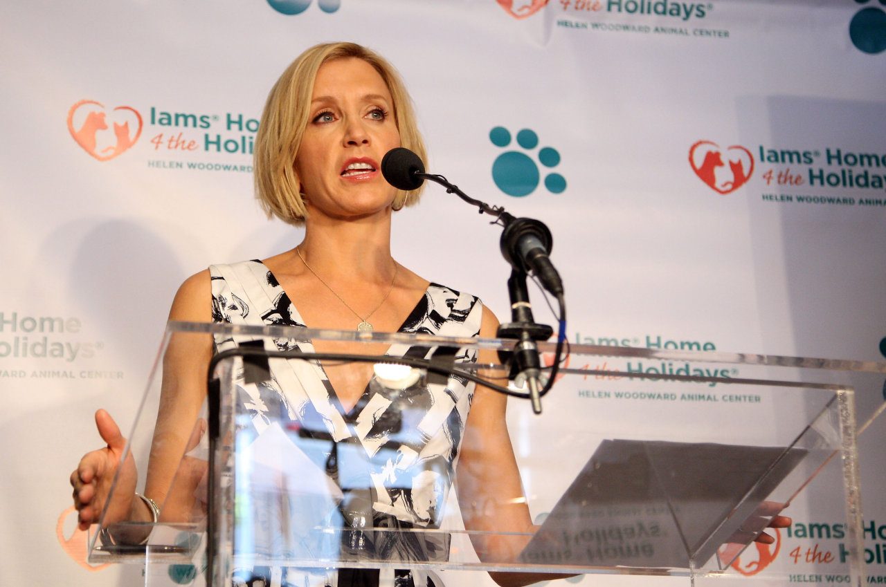 Felicity Huffman wallpapers Felicity Huffman