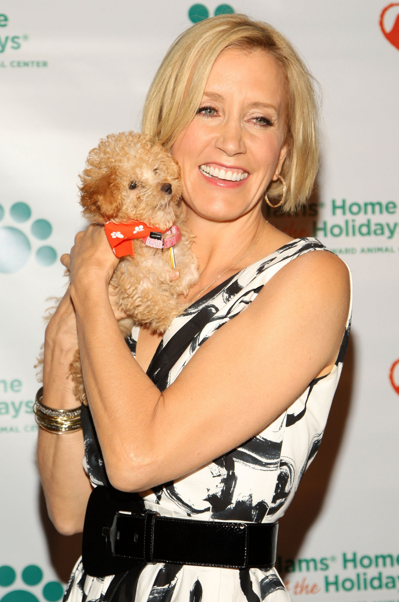 Felicity Huffman wallpapers Felicity Huffman