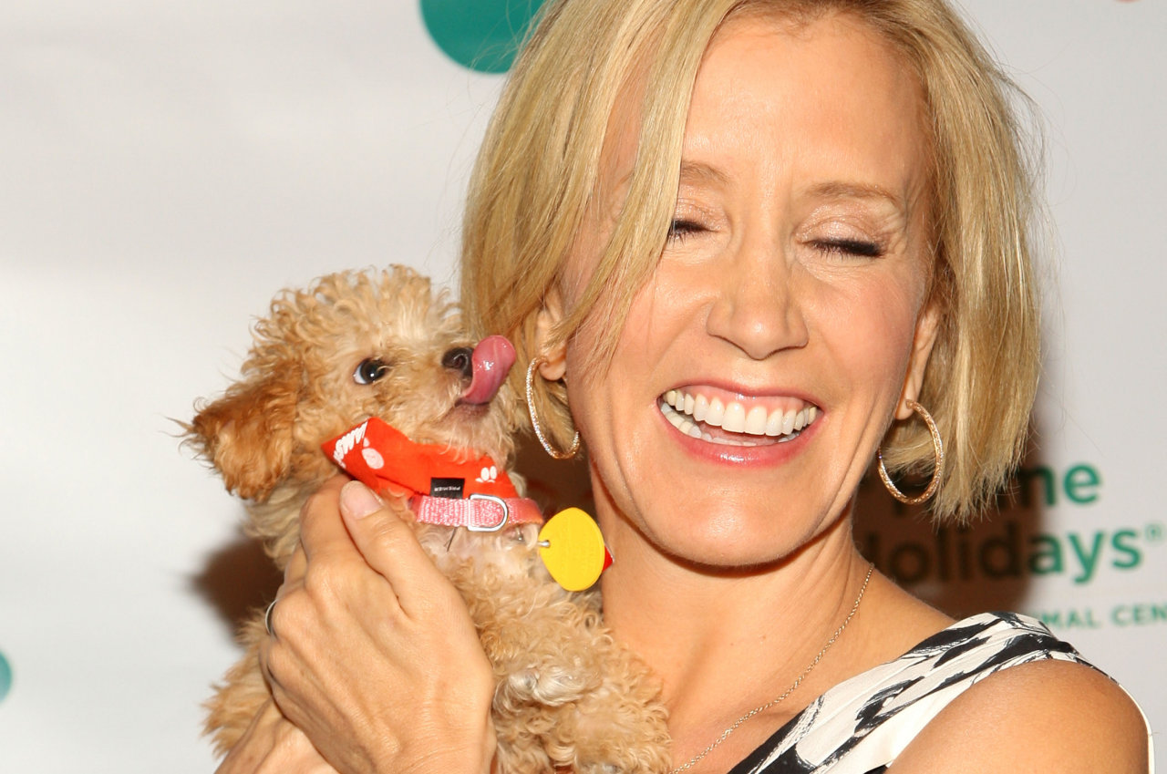 Felicity Huffman wallpapers Felicity Huffman