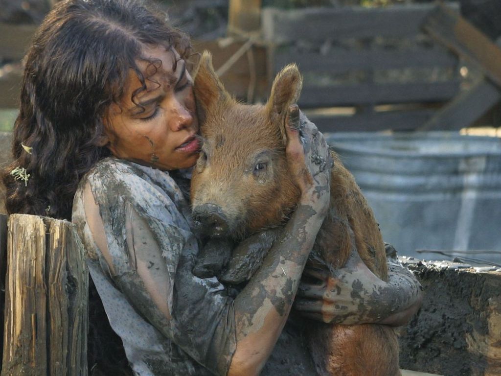 Halle Berry wallpapers Halle Berry
