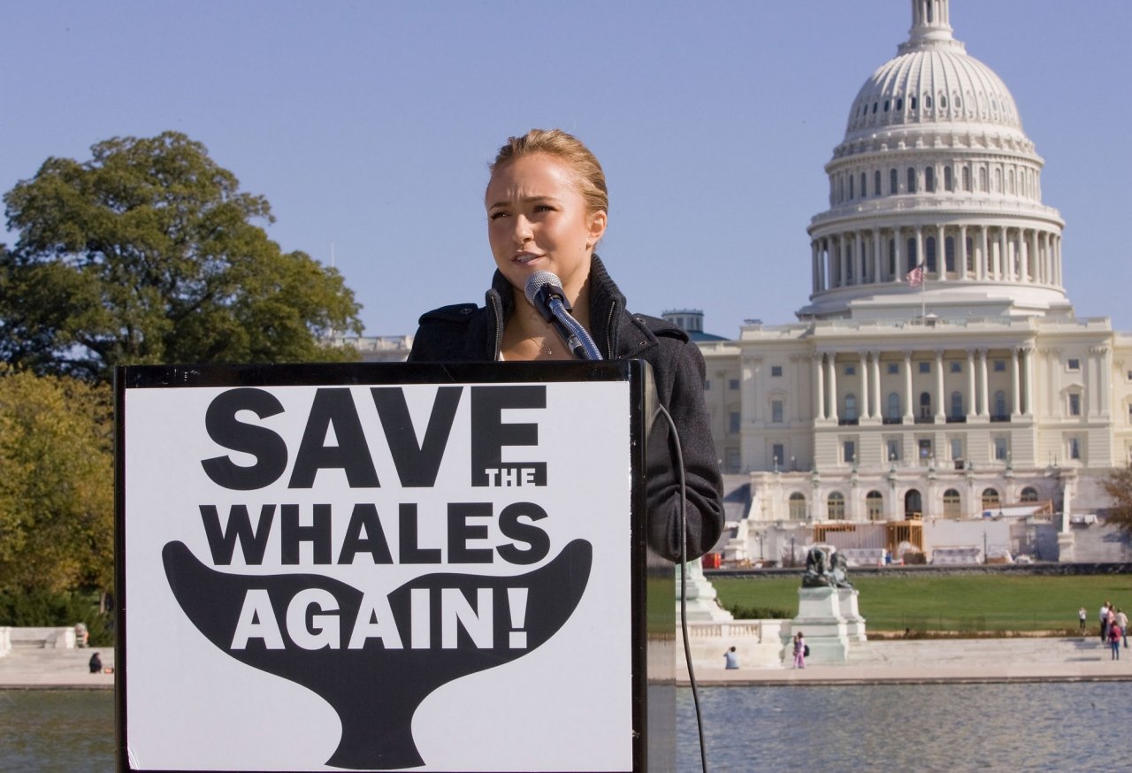 Hayden Panettiere wallpapers Hayden Panettiere