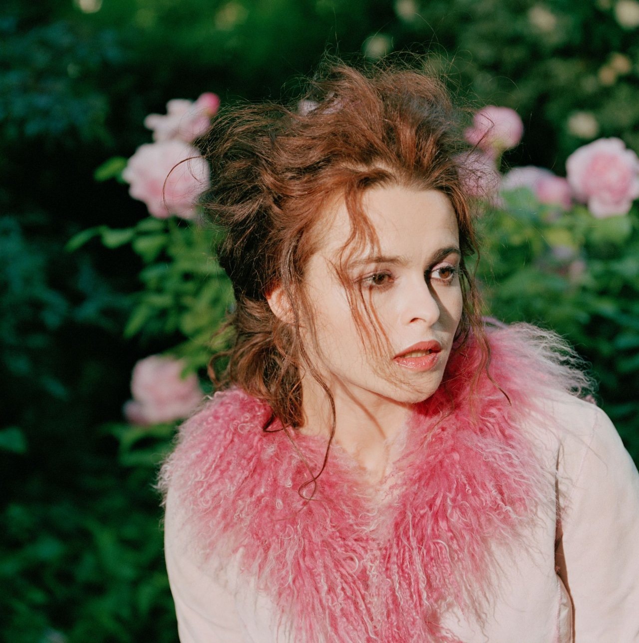 Helena Bonham Carter wallpapers Helena Bonham Carter