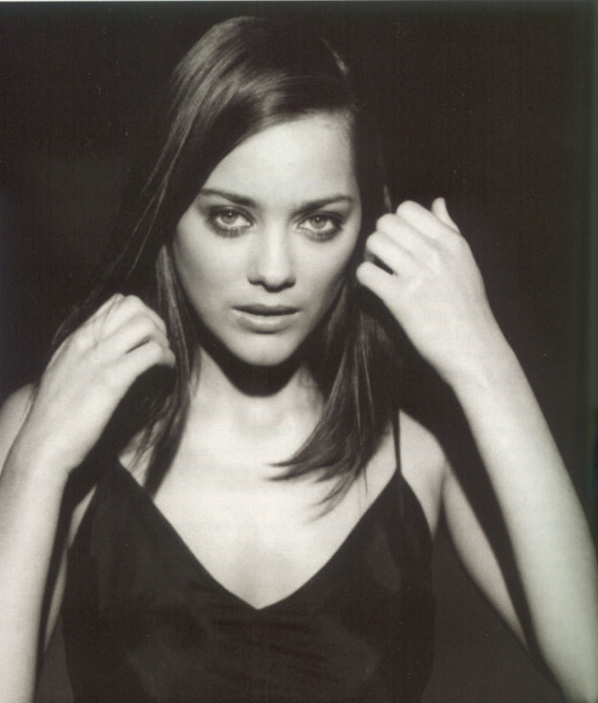 Marion Cotillard wallpapers Marion Cotillard