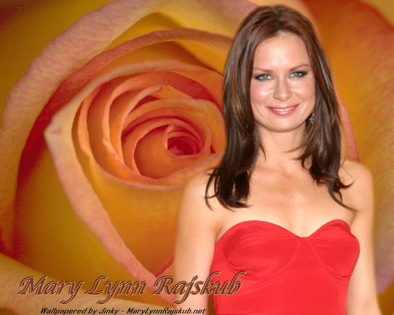 Mary Lynn Rajskub wallpapers Mary Lynn Rajskub