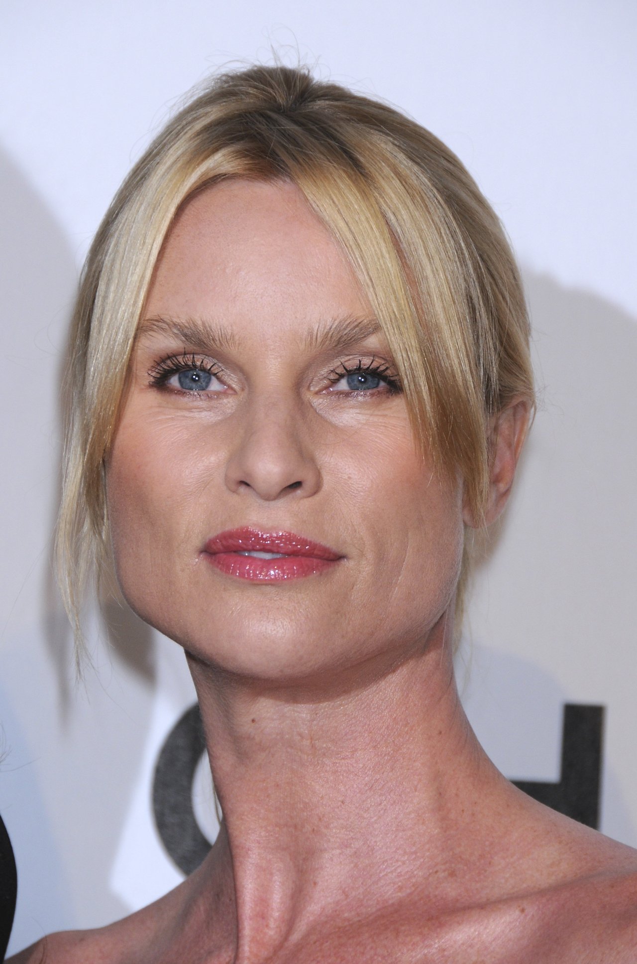 Nicollette Sheridan