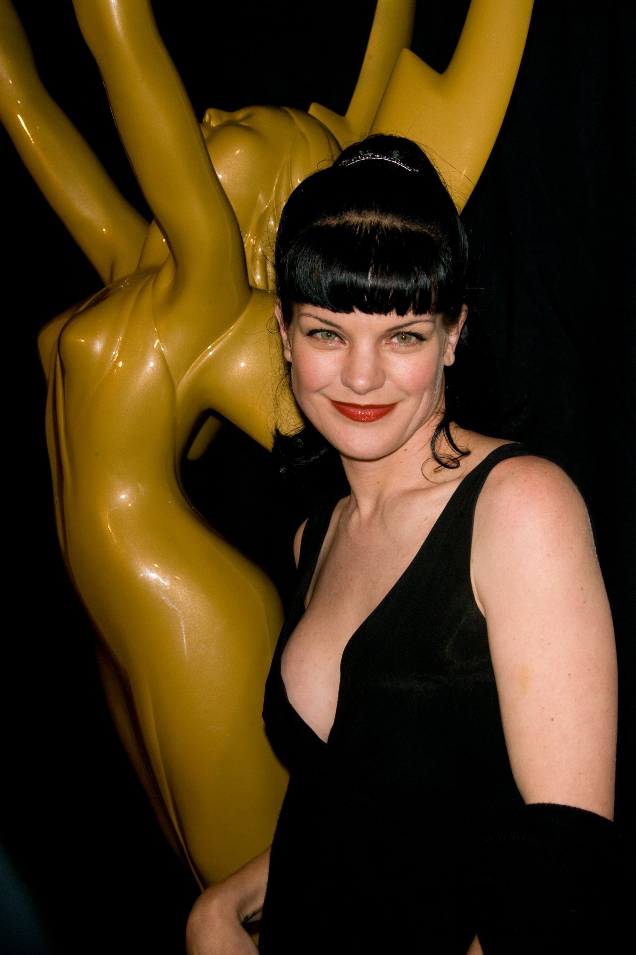 Pauley Perrette