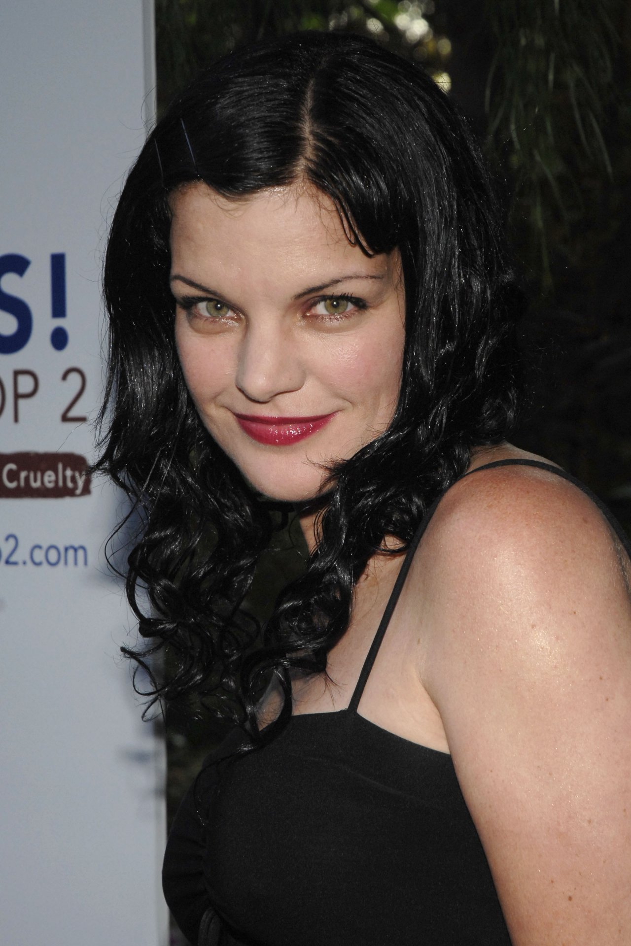 Pauley Perrette