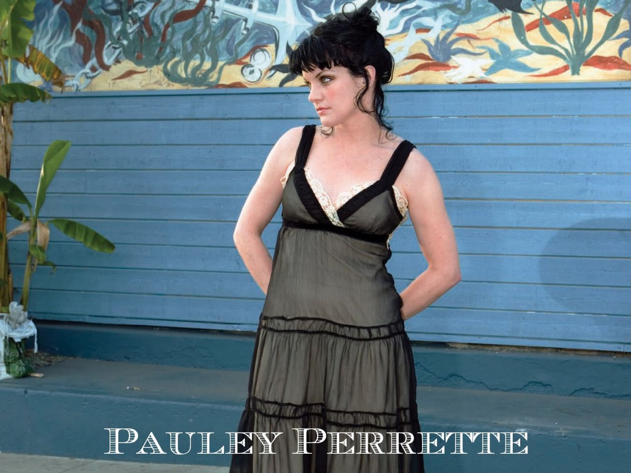 Pauley Perrette