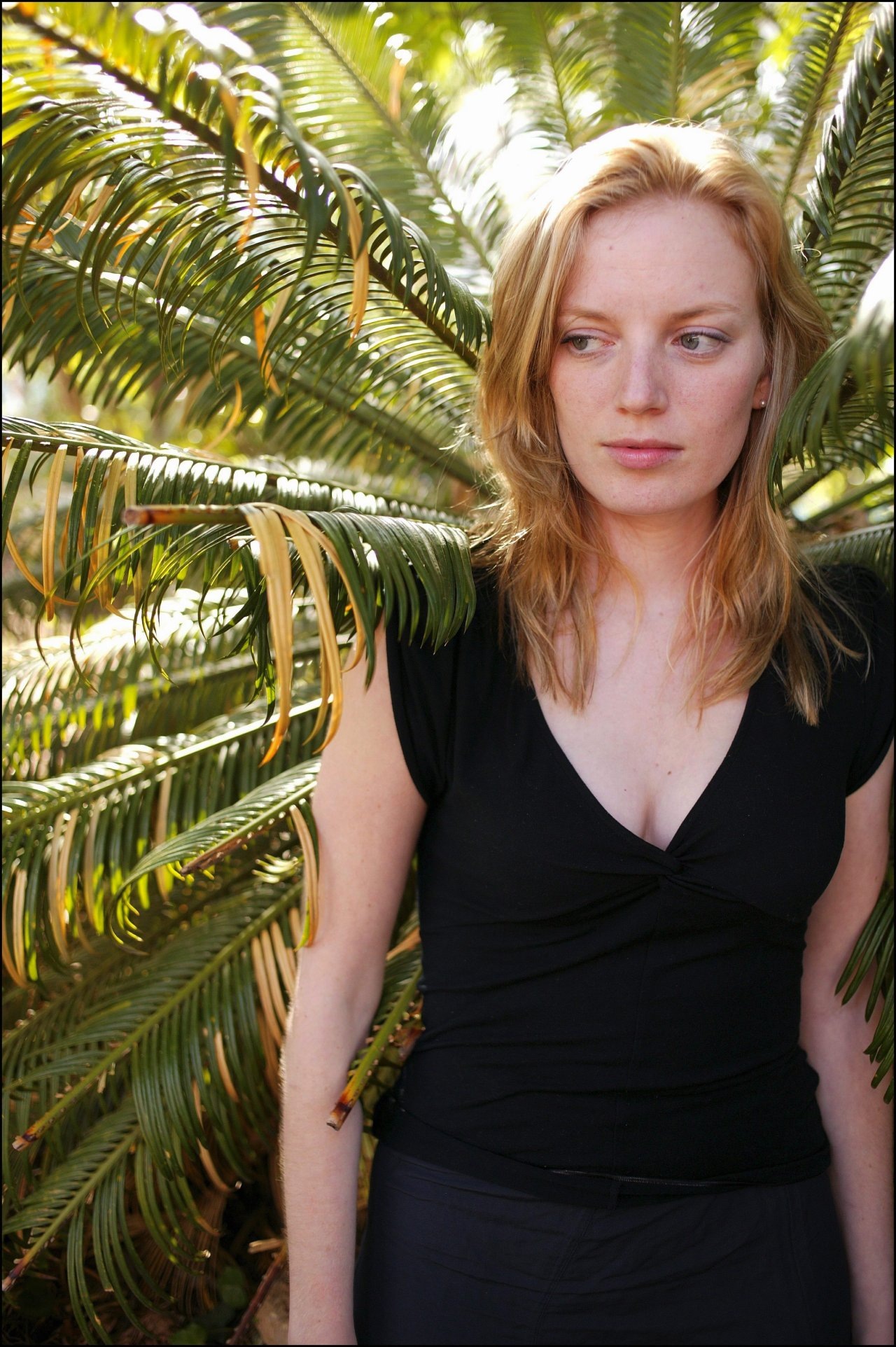 Sarah Polley wallpapers Sarah Polley