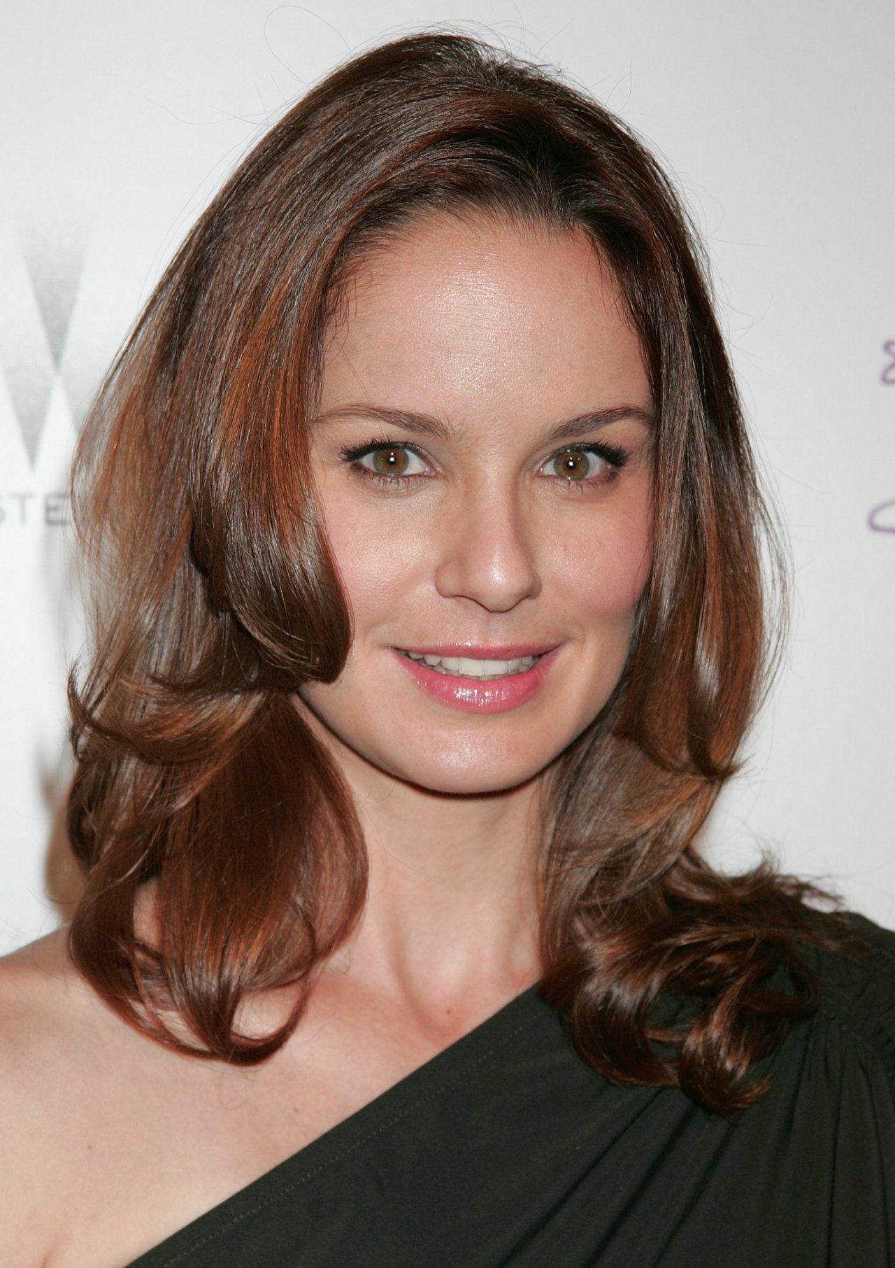 Sarah Wayne Callies wallpapers Sarah Wayne Callies